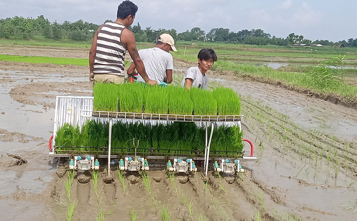 चारपाङग्रे धान रोप्ने मेसिन भित्र्याइयो